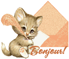 Gif animé bonjour